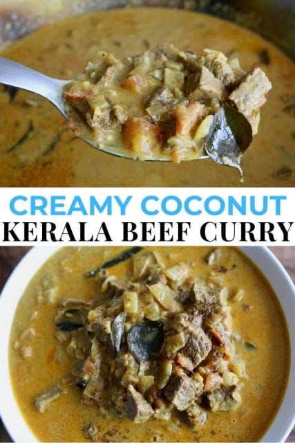 Spicy Creamy Coconut Nadan Kerala Beef Curry Recipe Dobbernationloves
