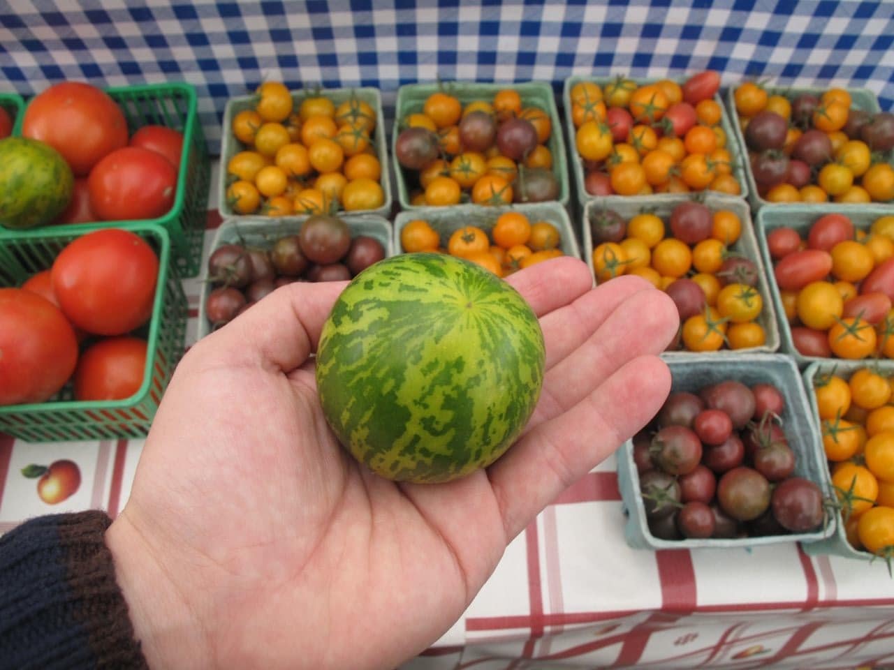 Toronto Weekend  Getaway: Visit Guelph's famous farmers market on the weekend.