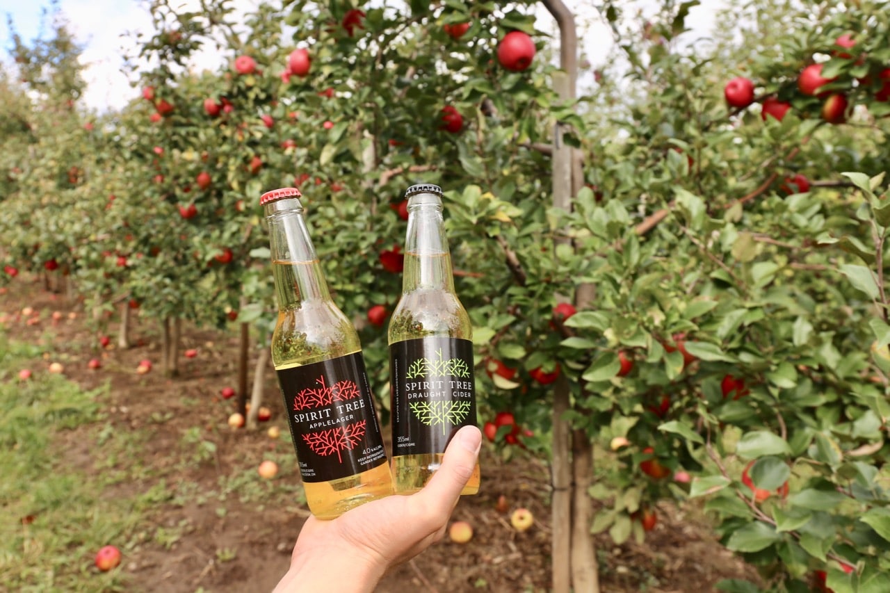 Weekend Getaways from Toronto: Go apple picking and sip craft cider near Hockley Valley Resort.
