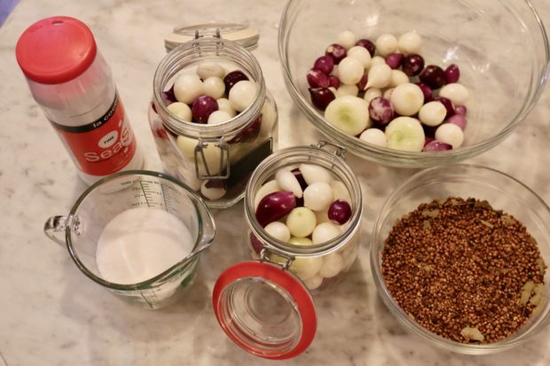 Ingredients you'll need to prepare fermented onions.
