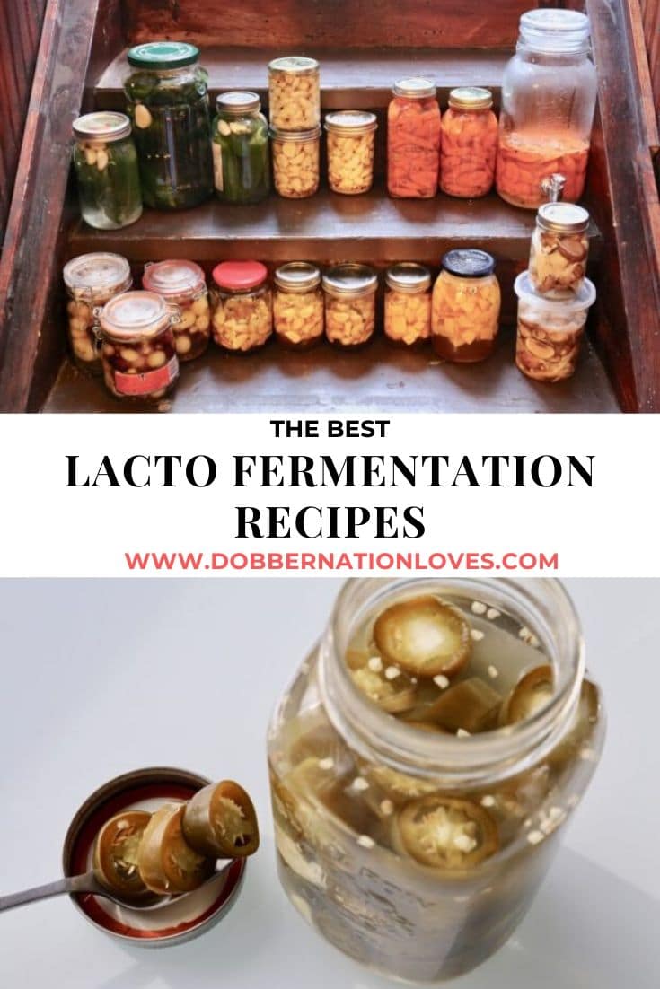 Lacto Fermentation: How to Ferment Vegetables | dobbernationLOVES