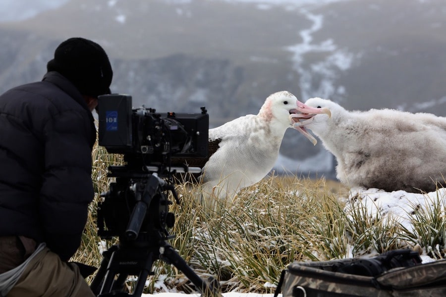 Each of the nature documentaries 8 episodes are paired with behind-the-scenes footage.