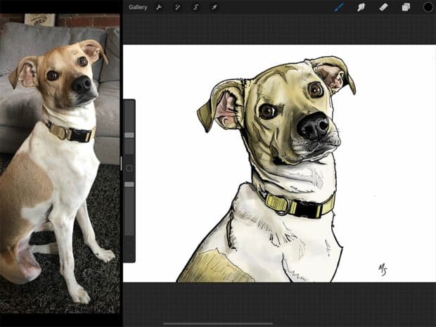 Download Procreate Tutorial How To Draw Realistic Animals Dobbernationloves