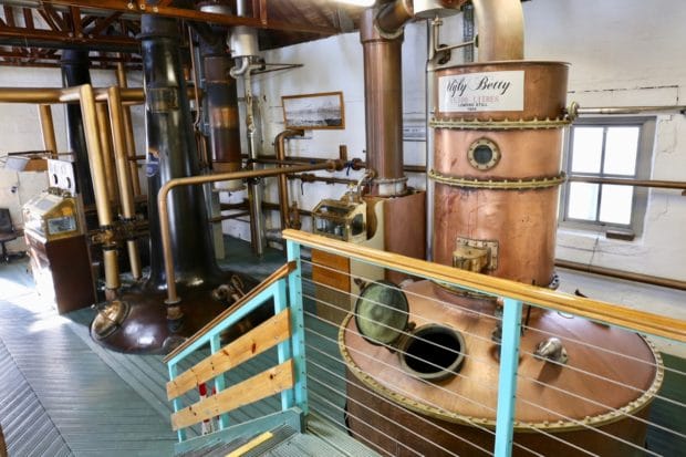 Botanist Gin is produced on the Isle of Islay at Bruichladdich Distillery.