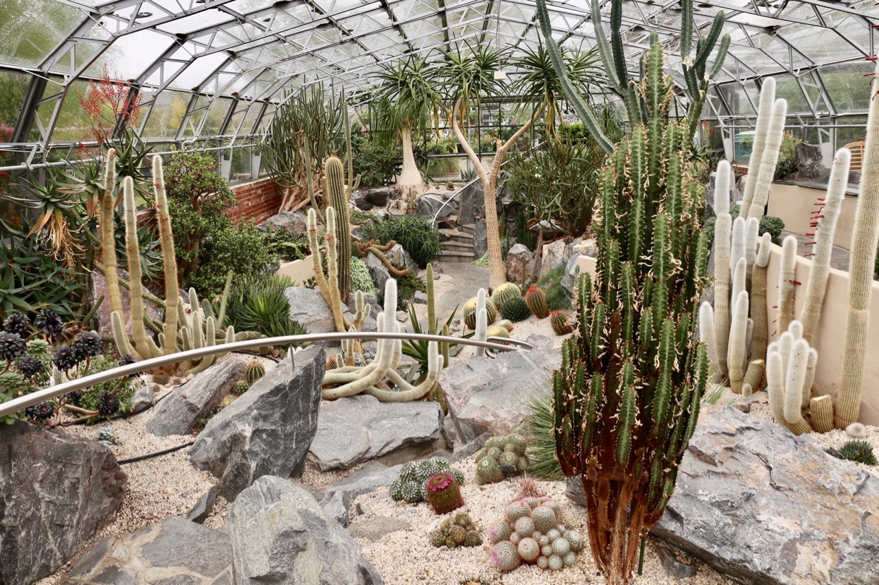 Things To Do in Inverness: Horticulture fans love visiting the Botanical Gardens.