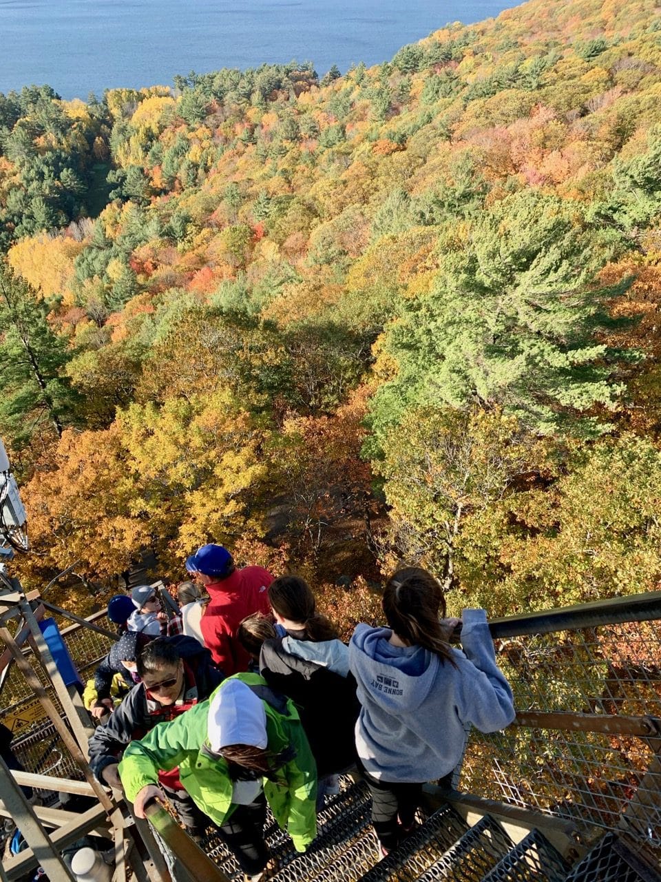 Expect long lines at the Dorset Lookout Tower in the Fall high season.