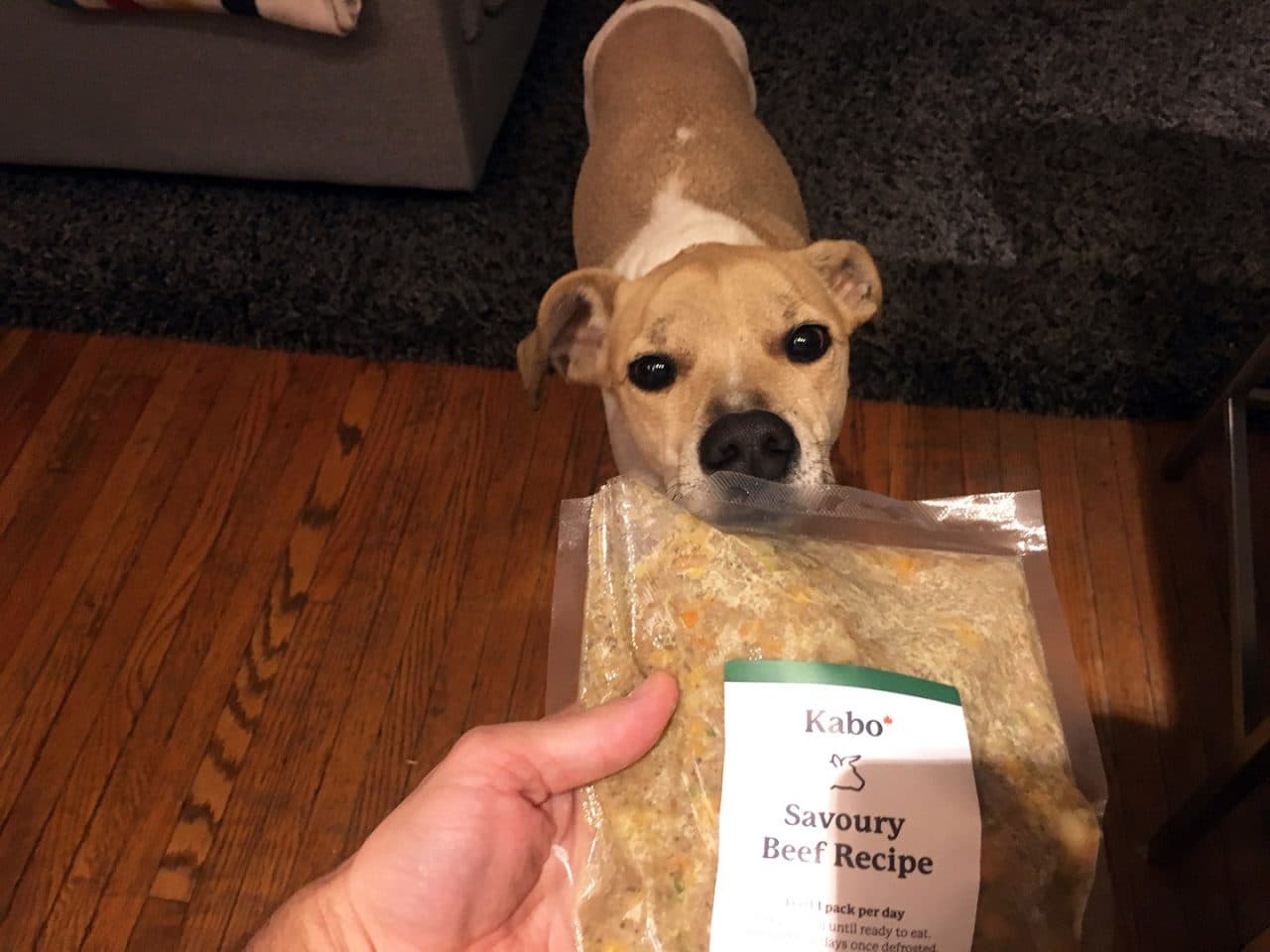 Kabo's PhD Pet Nutritionist-approved recipes are also Daisy-approved.