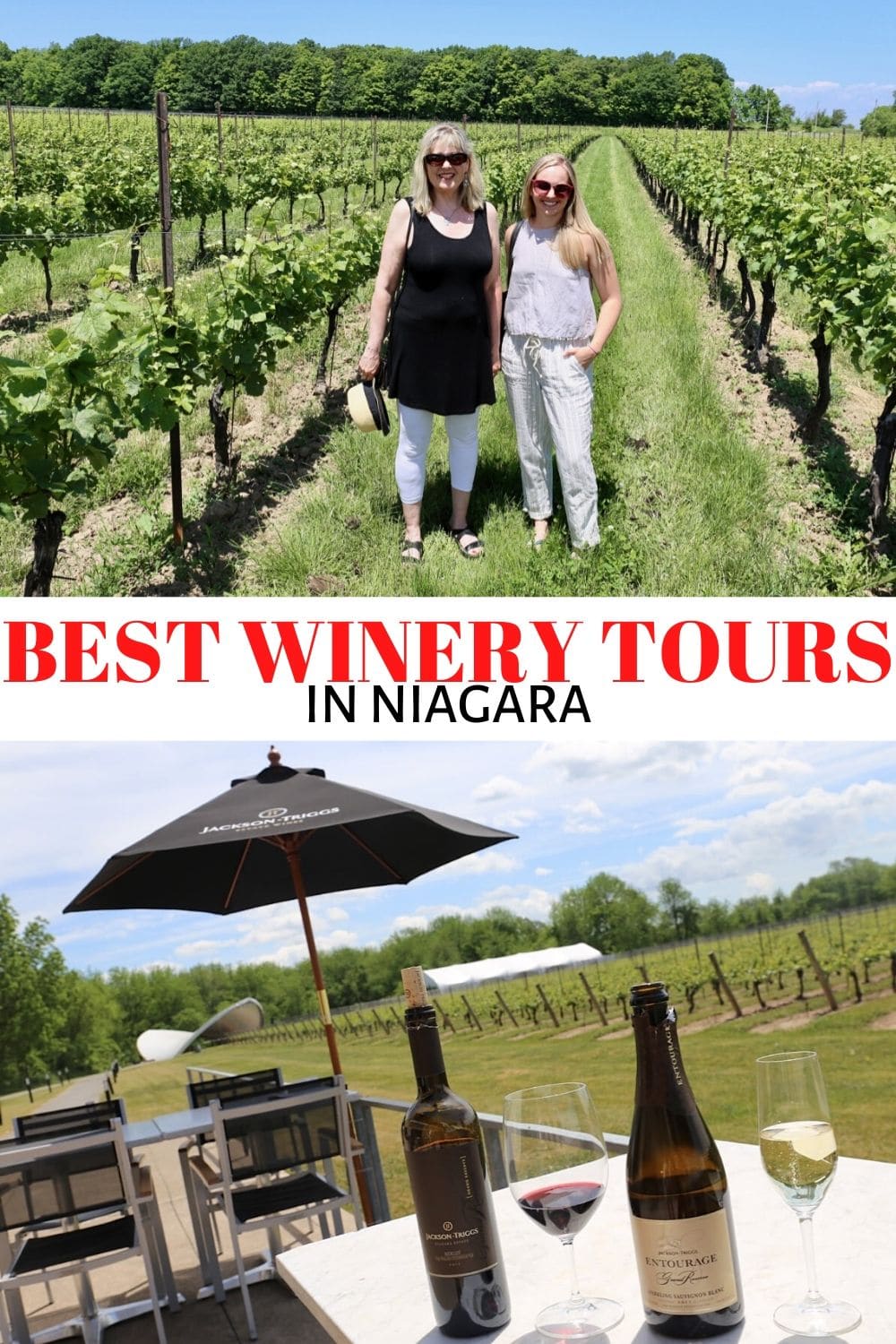 niagara wine and cider tours