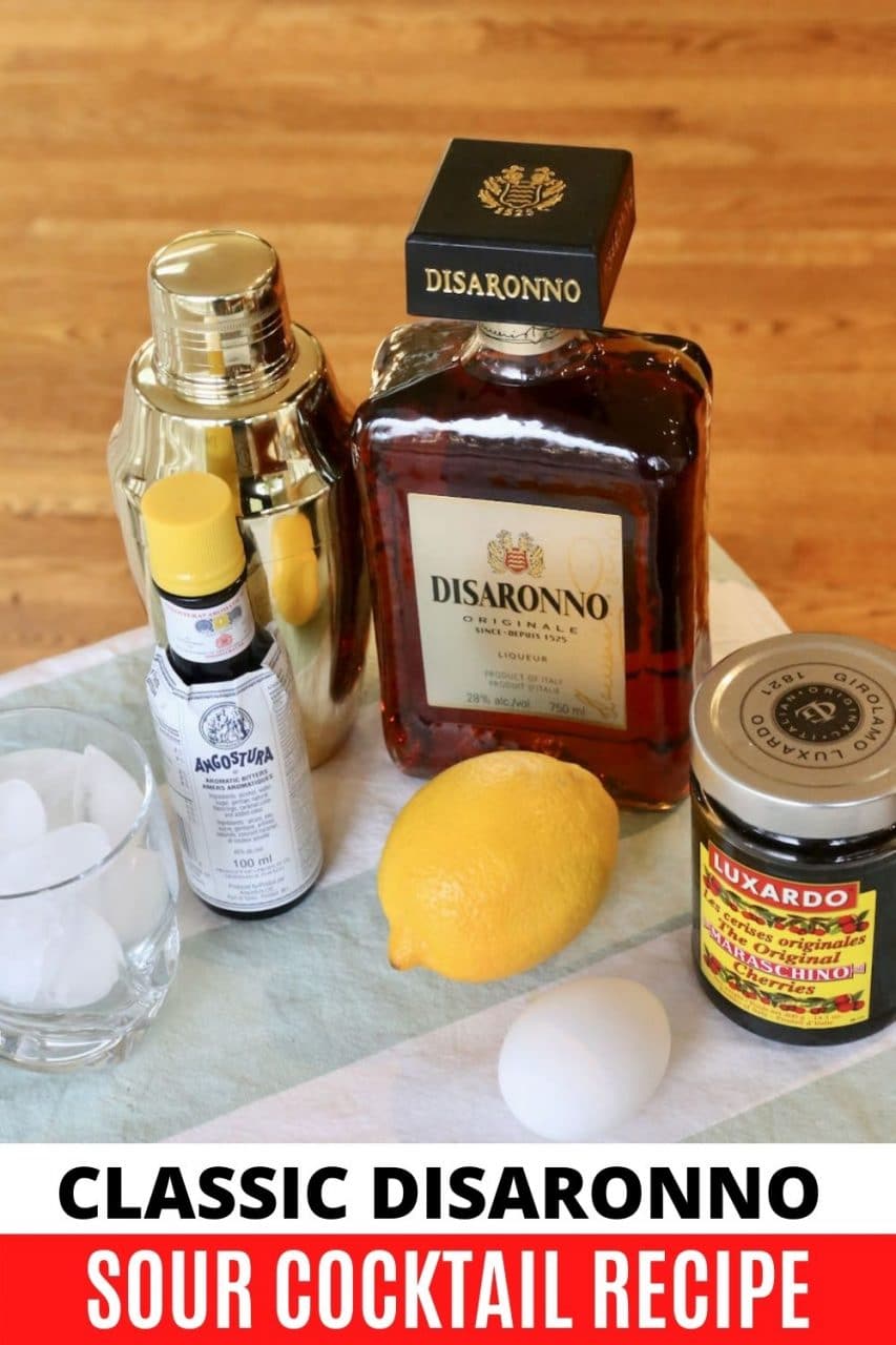 Amaretto Disaronno Sour Cocktail Drink Recipe - dobbernationLOVES