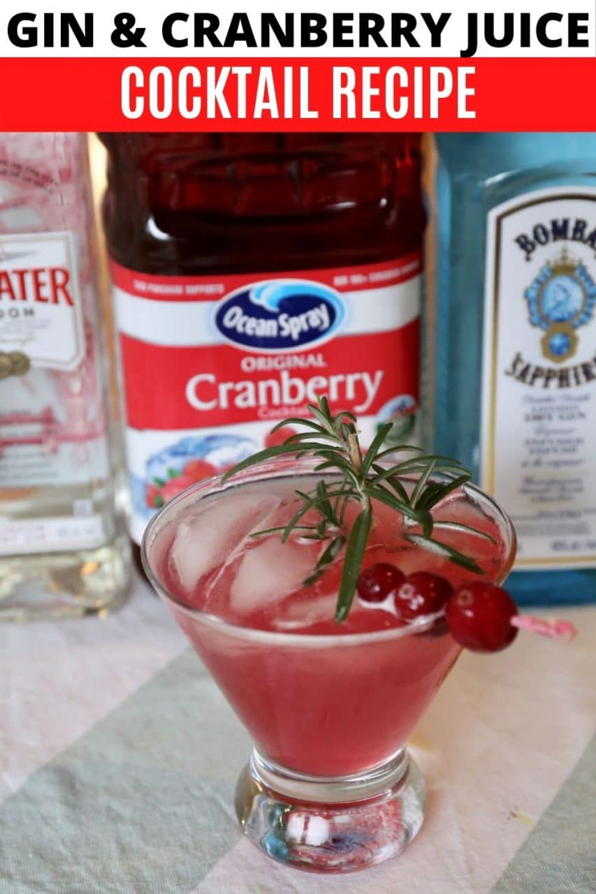 Gin and Cranberry Juice Cocktail Drink Recipe | dobbernationLOVES