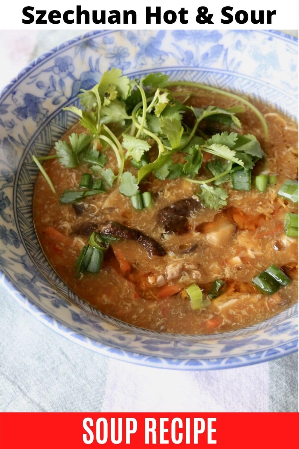 Spicy Szechuan Hot and Sour Soup Recipe