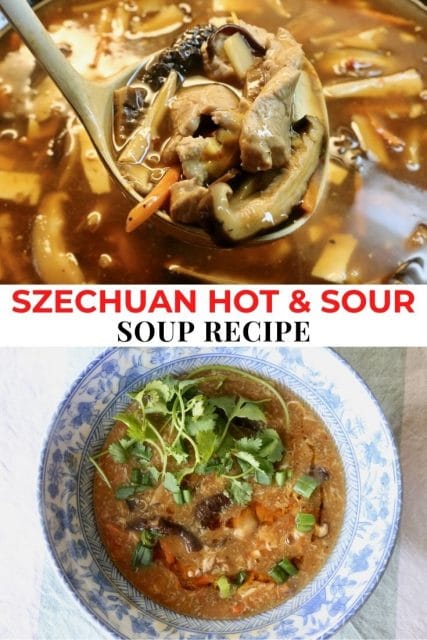 Spicy Szechuan Hot and Sour Soup Recipe - dobbernationLOVES