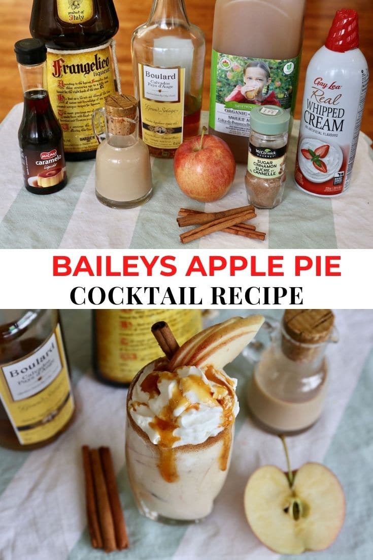 Best Baileys Apple Pie Cocktail Drink Recipe Dobbernationloves