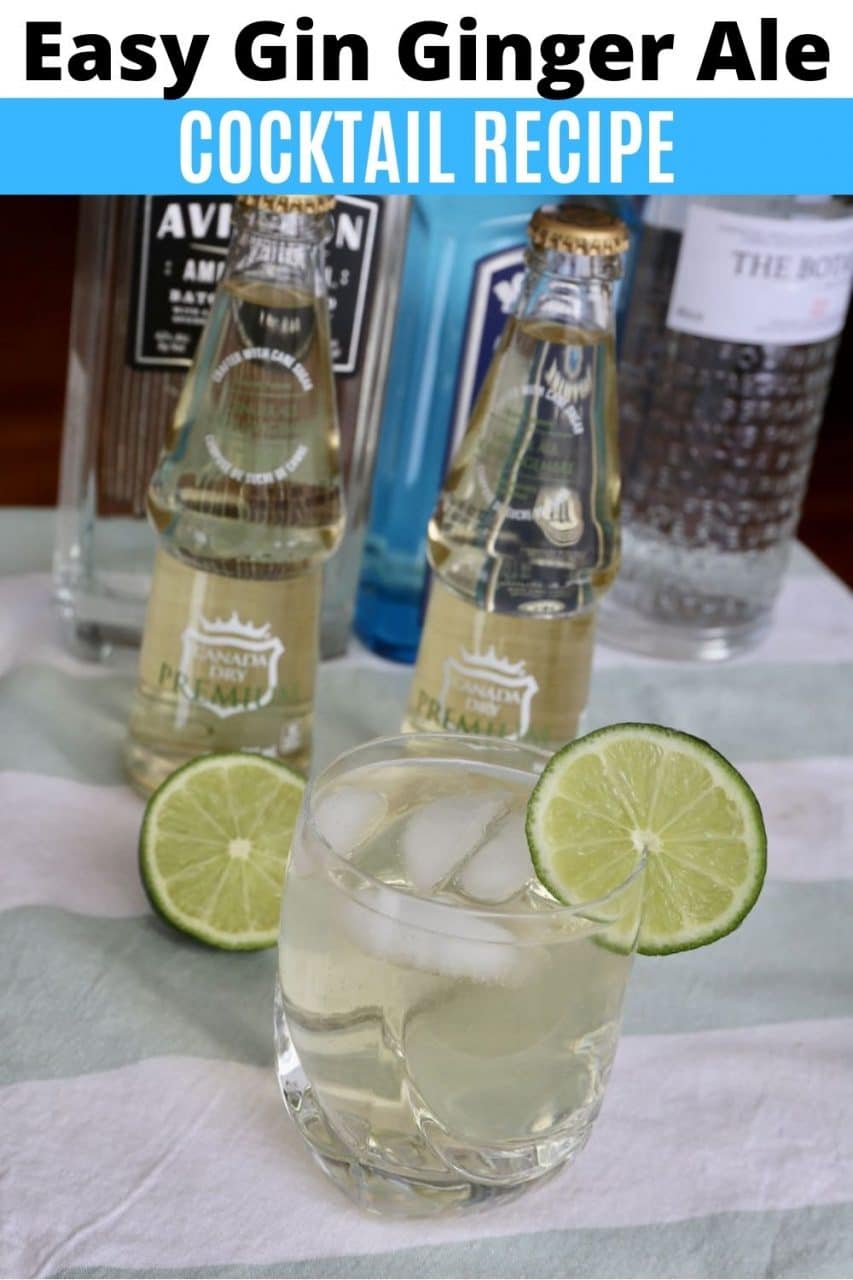 Save our easy Gin and Ginger Ale Cocktail recipe to Pinterest!