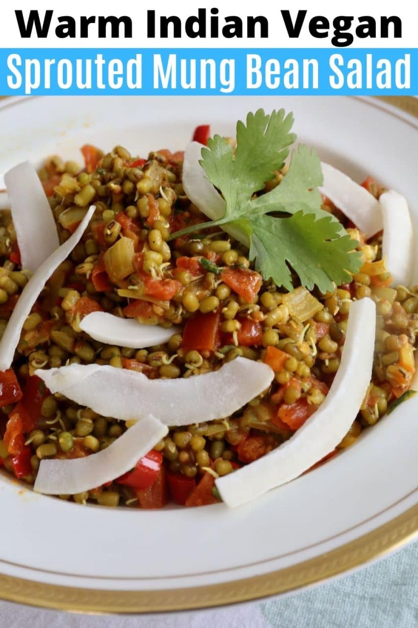 Save our Warm Indian Vegan Sprouted Mung Bean Salad recipe to Pinterest!