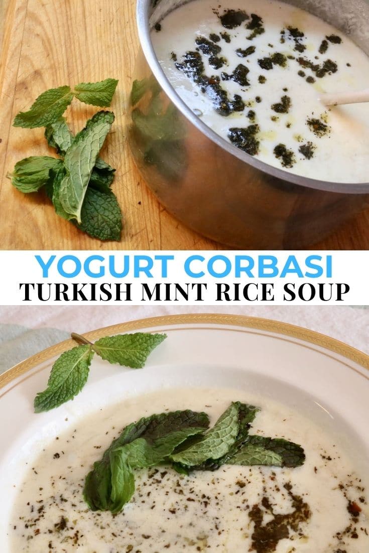 Turkish Mint Yogurt Corbasi Soup Recipe - dobbernationLOVES