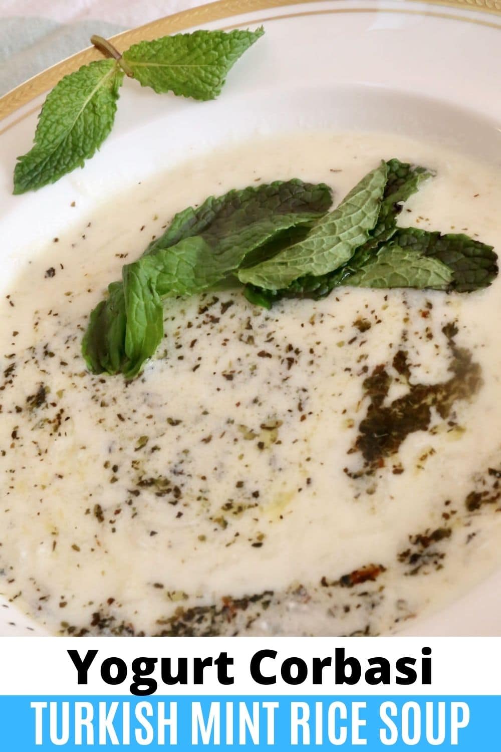Turkish Mint Yogurt Corbasi Soup Recipe - dobbernationLOVES