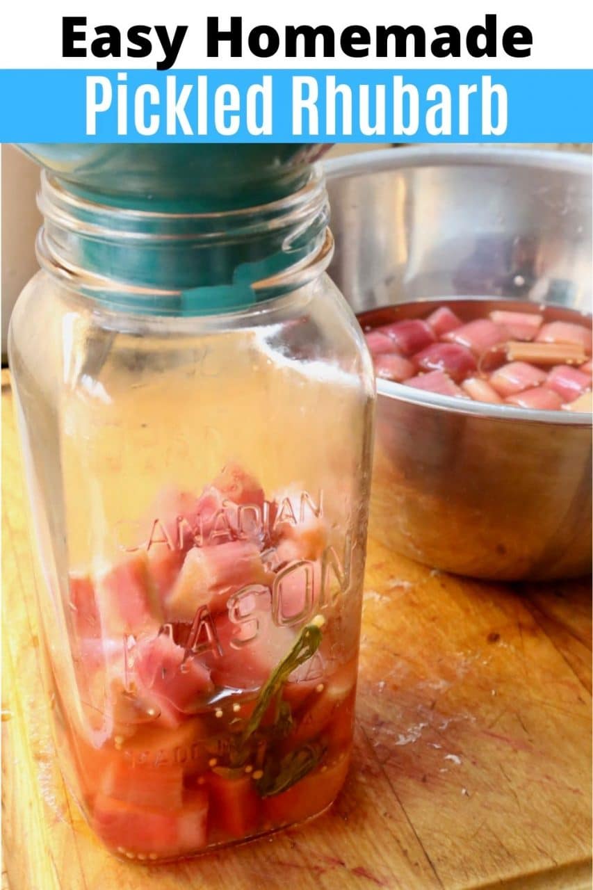Quick Sweet Pickled Rhubarb  America's Test Kitchen Recipe