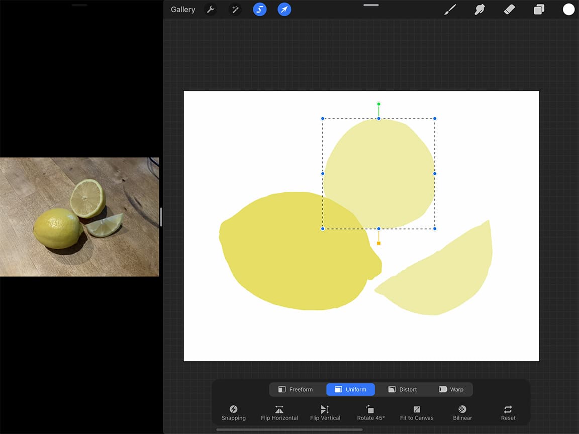  How to Draw a Lemon: Use Procreate's lasso tool to move and adjust elements in your drawing