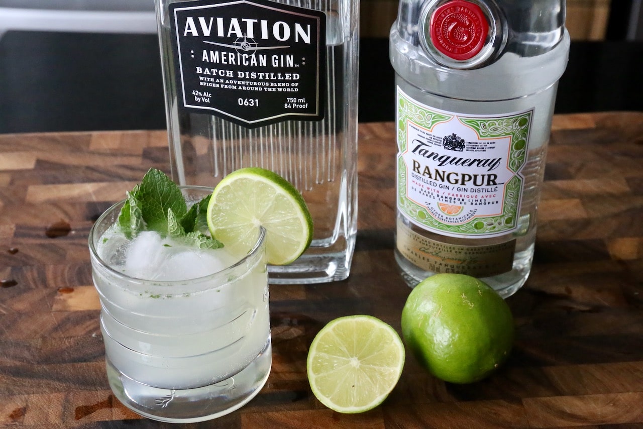 Garnish this easy Gin Mojito recipe with fresh mint sprig and lime wheel.