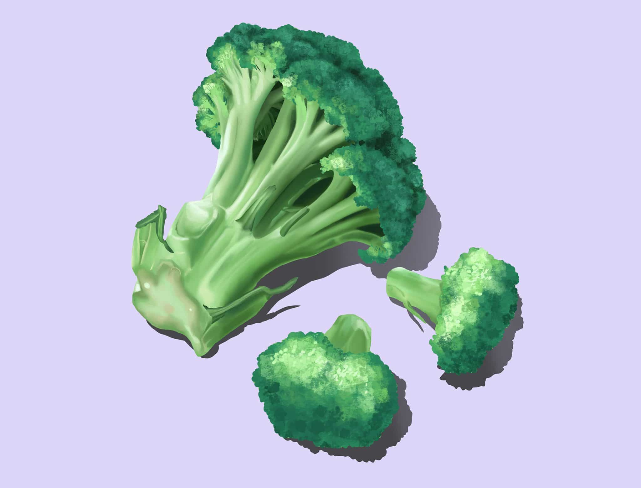 How To Draw A Broccoli Step by Step Procreate Tutorial dobbernationLOVES