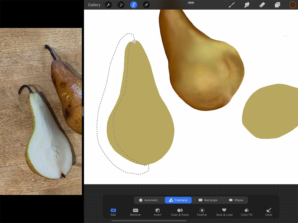 How to Draw Pears: The lasso tool can also be used for isolating areas for drawing. 