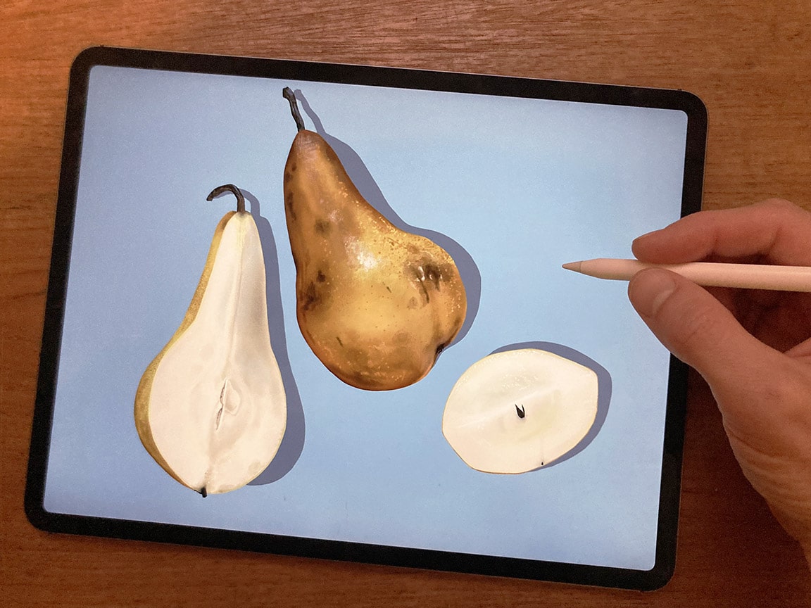 Learn the process of creating a digital pear drawing with Procreate on iPad Pro.