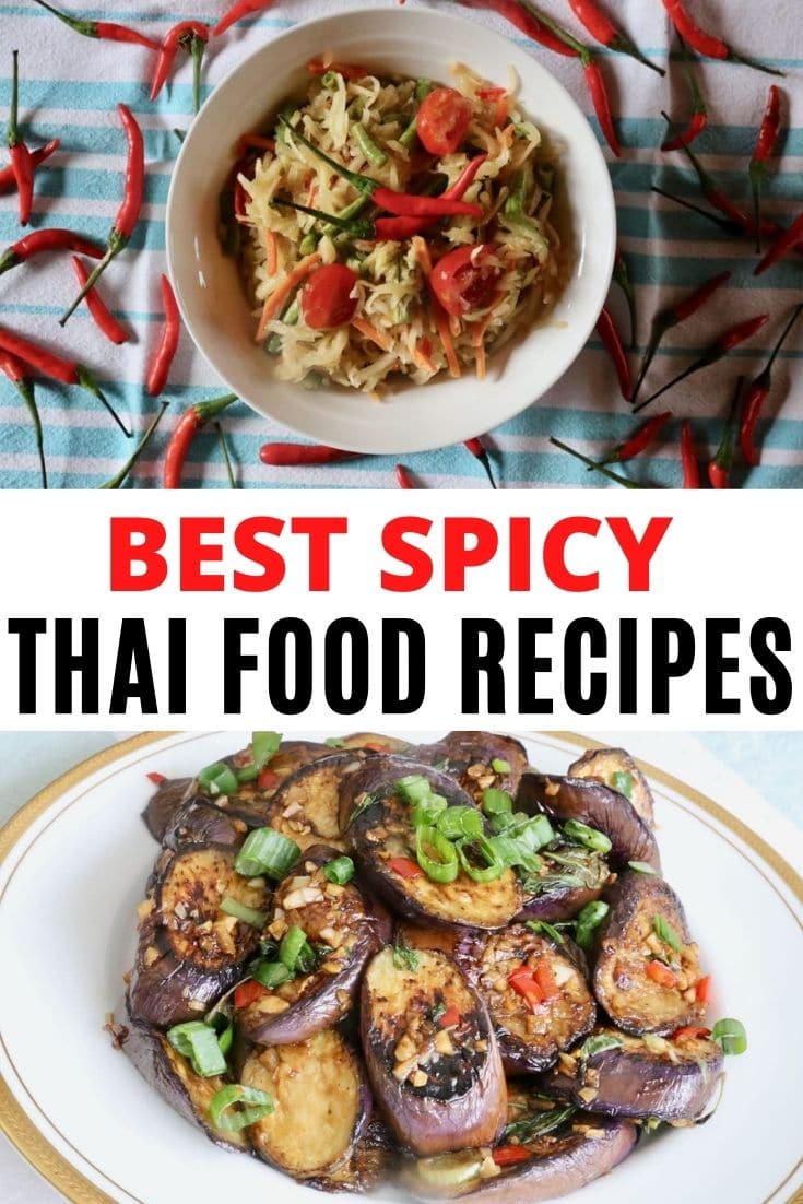 Save our Spicy Thai Food Recipe Guide to Pinterest!