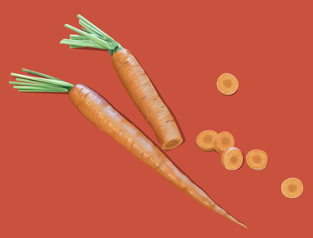Toronto illustrator Mark Scheibmayr shares tips on how to draw carrots.