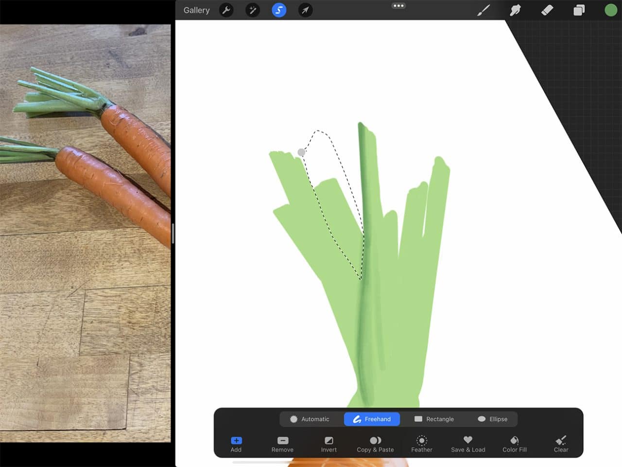 How to Draw Carrots: Use the lasso tool to isolate only that portion you want to draw.