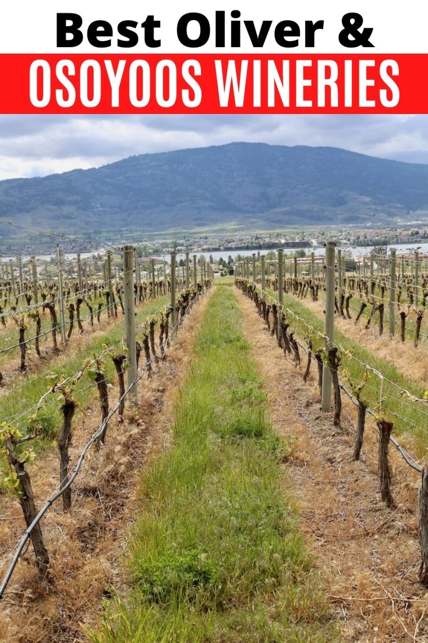 Save our Wineries in Osoyoos guide to Pinterest!