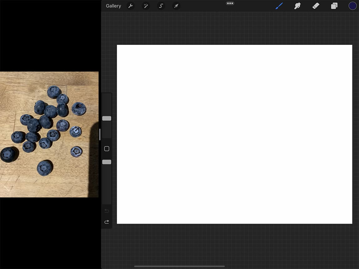 Blueberry Drawing Tips: iPad Pro makes setting up a convenient split screen for working easy.