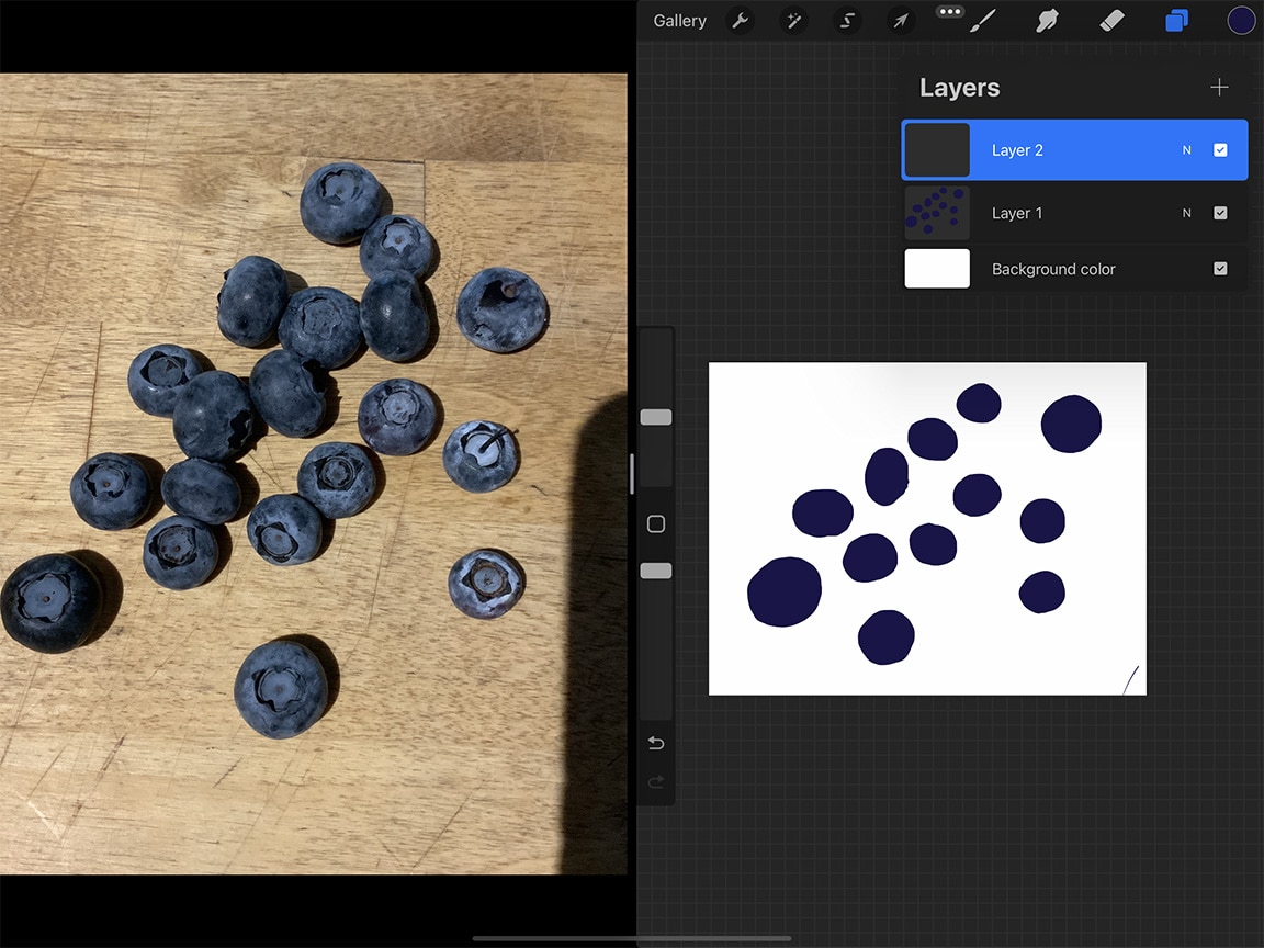 How to Draw Blueberries: Blocking out your colours first is helpful for digital painting.