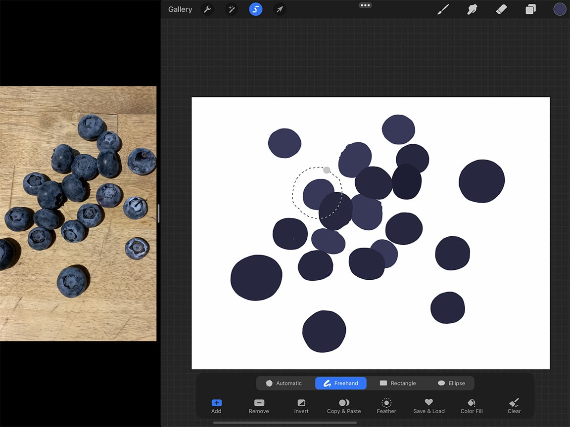 How to Draw Blueberries: Use the Lasso Tool to adjust your drawing.