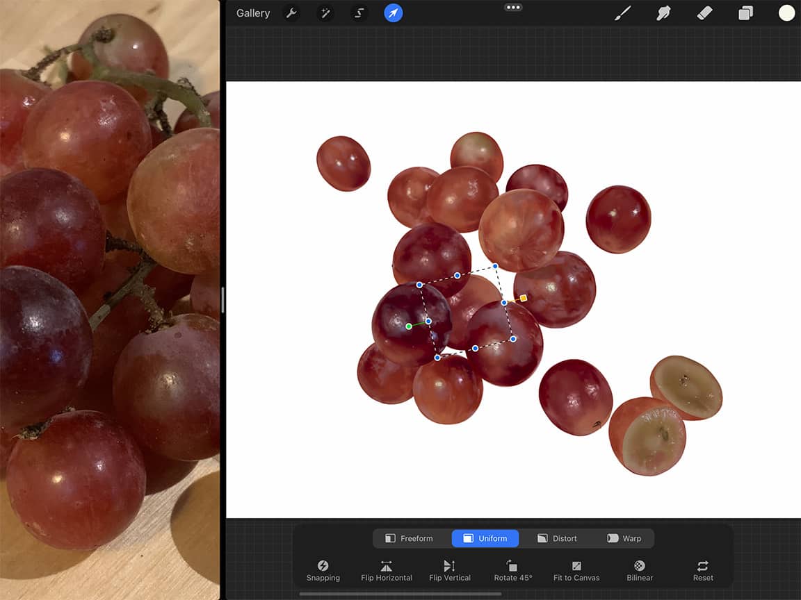 How To Draw Grapes: Use the cursor tool to select and adjust your copied element.