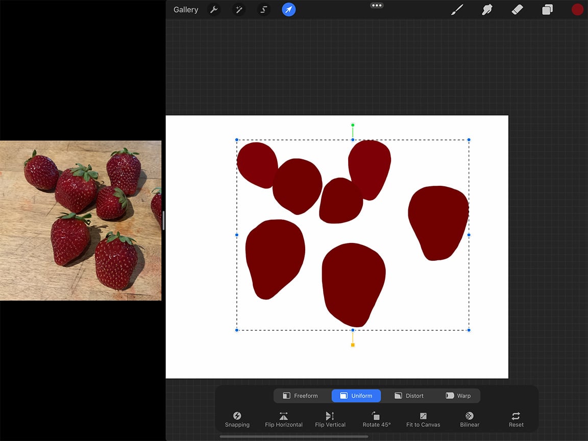 How to Draw Strawberries: Use the Lasso Tool to adjust your drawing.