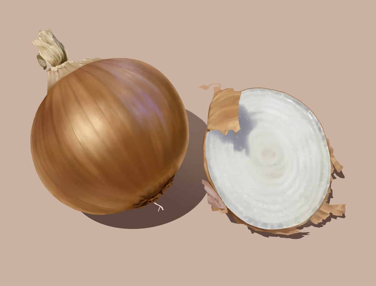 Toronto illustrator Mark Scheibmayr shares tips on how to draw onions.