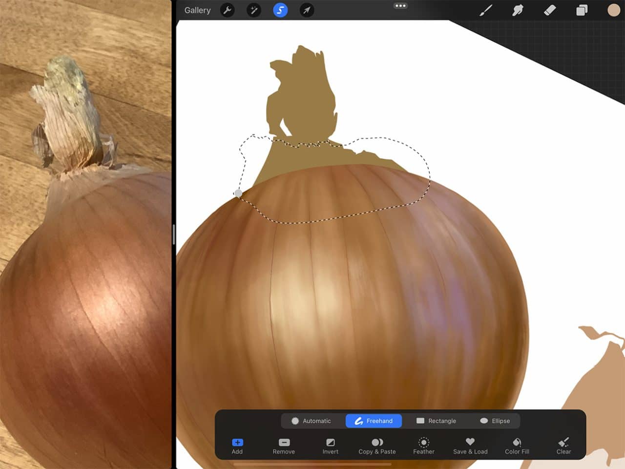 How to Draw an Onion: Drawing with the lasso tool allows for blending against clean lines.