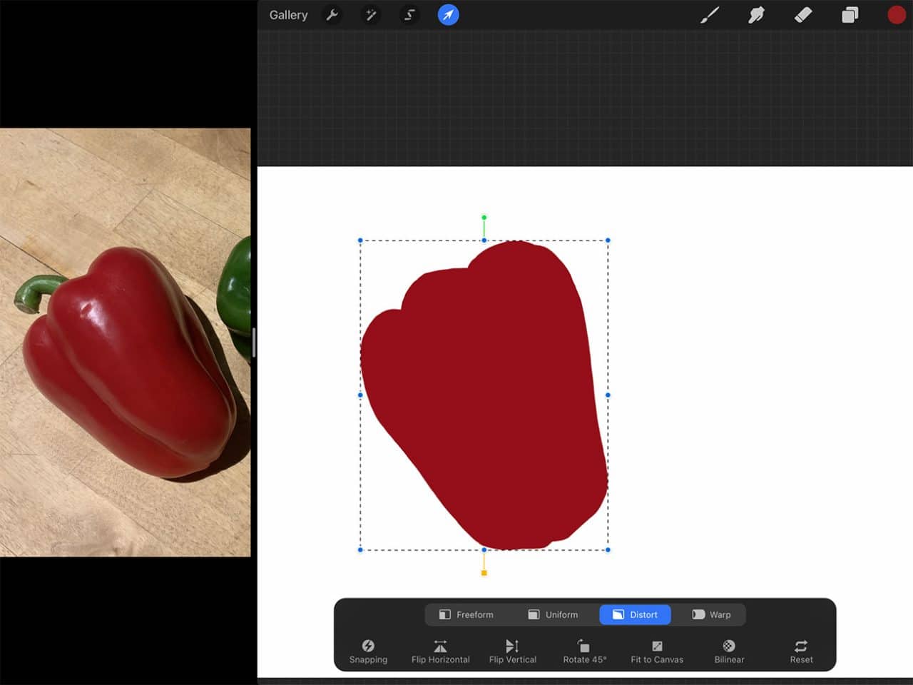 How to Draw Capsicums: Use the Lasso Tool to adjust your drawing.