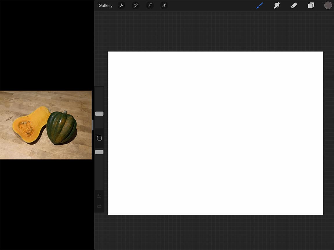 How to Draw Squash: iPad Pro makes setting up a convenient split screen for working easy.