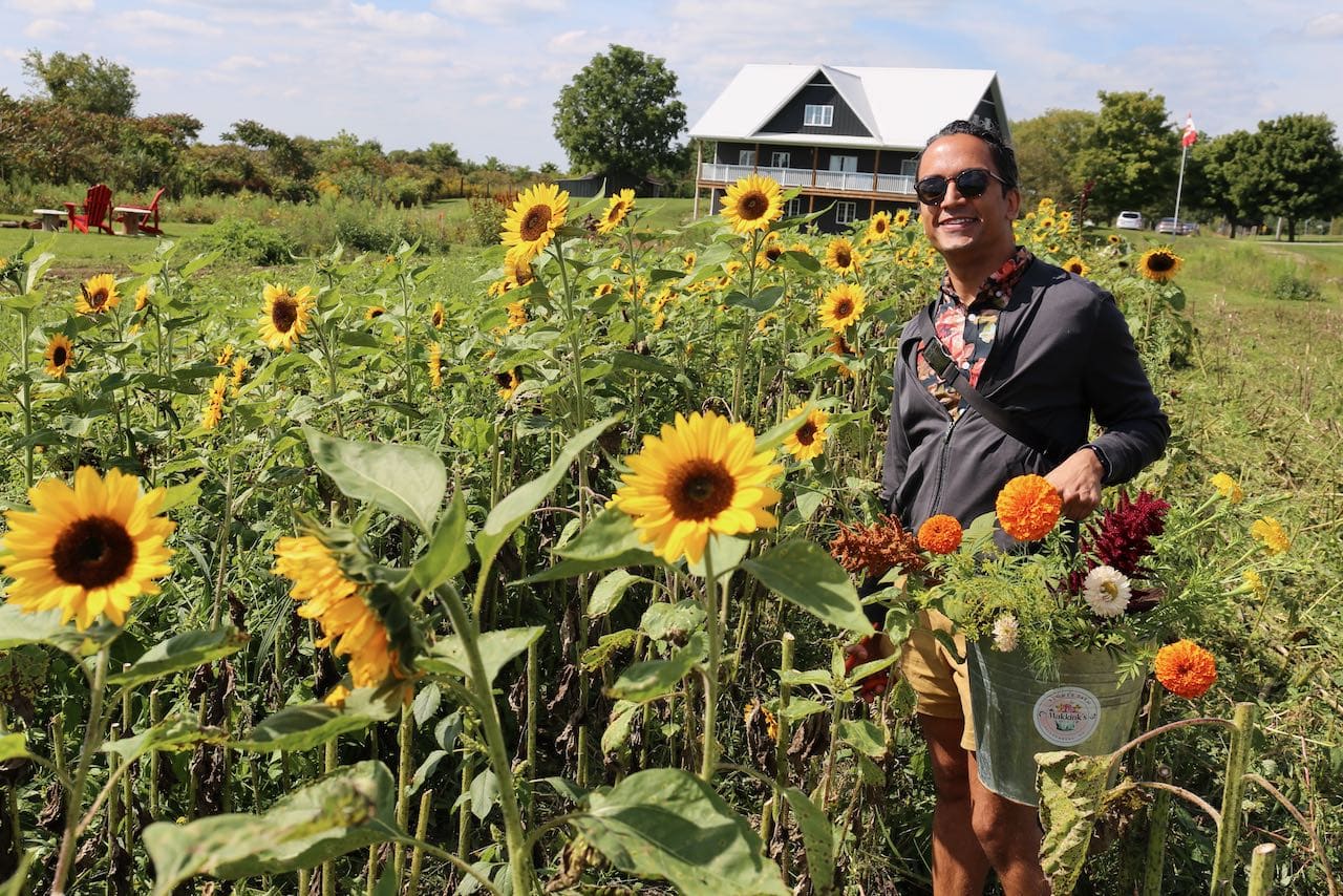 Things To Do In Tillsonburg For Green Thumbs: Makkink’s Flower Farm "pick your own bouquet."