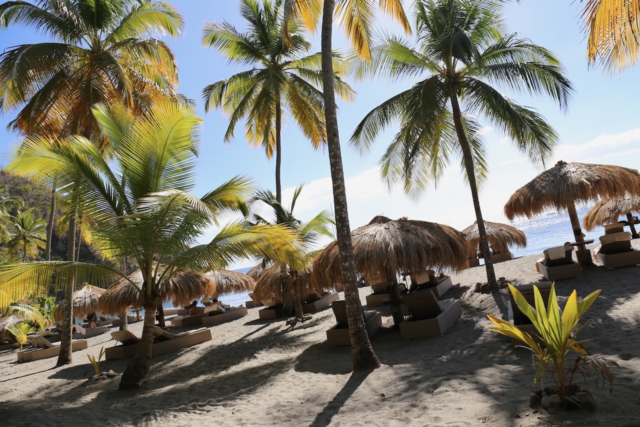 Spend the day swimming at the beach under breezy palm trees.
